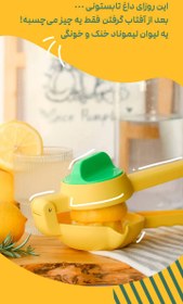 تصویر آبمیوه گیر سیتروس 