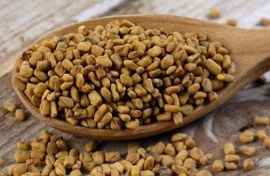 تصویر بذر شنبلیله 