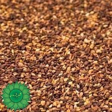 تصویر کنجد قهوه ای شسته شده دوبوجار (1 کیلوگرمی) ا Washed Brown Sesame Seed (1 Kg) Washed Brown Sesame Seed (1 Kg)