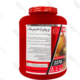 تصویر پروتئین وی ۱۰۰ بلید اسپرت | BLADE SPORT WHEY 100 