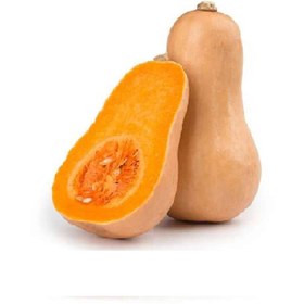 تصویر کدو حلوایی 