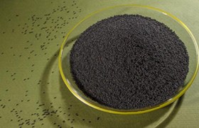 تصویر بذر خرفه 