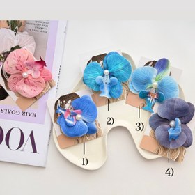 تصویر گیره انبری ارکیده 