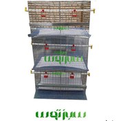 تصویر قفس مرغ تخمگذار سه طبقه اقتصادی سبز توس 