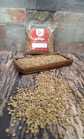 تصویر عدس ریز 