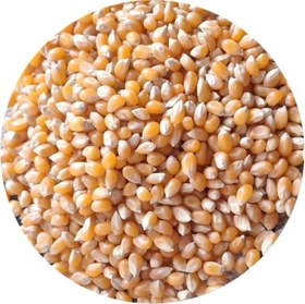 تصویر ذرت - دو کیلو Corn