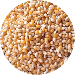 تصویر فروشگاه میلاد تویز عجب شیر