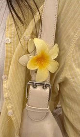 تصویر کلیپس پلومریا ۸سانتی - کد۷ 