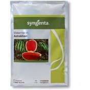 تصویر بذر هندوانه آستاراخان F1 ۱۰۰۰ عدد وزن ۱۲ کیلوگرم 