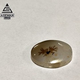 تصویر شجر S58 