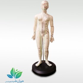 تصویر مولاژ بدن کامل زن 