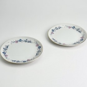 تصویر پیش دست هاسامی 