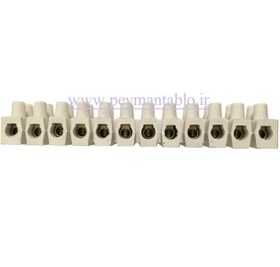 تصویر ترمینال برق شاخه ای ( PVC ) سایز 25 پلاستیکی رعدگستر PVC Terminal Block A25