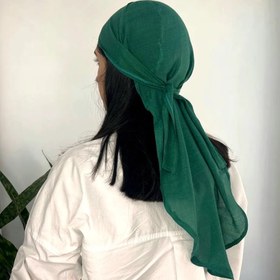 تصویر دورگ نخ ساده(۱۰۷۱) 