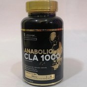 تصویر چربی سوز CLA 1000 آنایولیک کوین اصل تضمینی. 