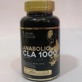 تصویر چربی سوز CLA 1000 آنایولیک کوین اصل تضمینی. 