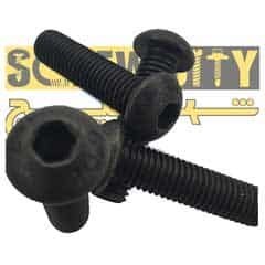 تصویر آلن قارچی 