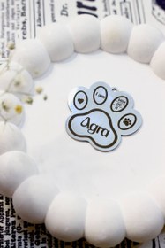 تصویر پلاک پنجول مدل Agra - 4cm / ۸حک / طلایی 