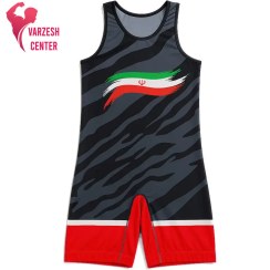 تصویر دوبنده کشتی اعلا طرح ایران 