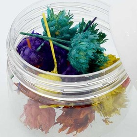 تصویر گل خشک فندقی چند رنگ 