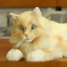 تصویر گربه رباتیک متا کت 