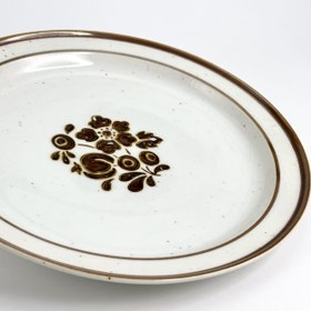 تصویر پلیت اینترنشنال 