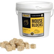 تصویر طعمه موش کاپوت 