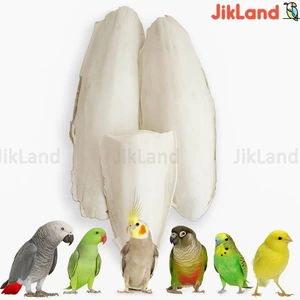 تصویر فروشگاه لوازم پرندگان جیک لند