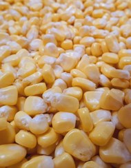 تصویر ذرت مکزیکی شیرین - 1000 Mexican sweet corn