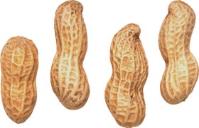 تصویر بادام زمینی باپوست (1کیلویی) آستانه اشرفیه Peanuts with Shell (1 kg) from Astaneh Ashrafieh These locally sourced peanuts from Astaneh Ashrafieh, Gilan are known for their rich flavor and crunchy texture. They are perfect for snacking, roasting, or making peanut-based products.