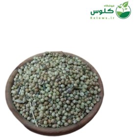 تصویر تخم گشنیز 5 کیلویی 