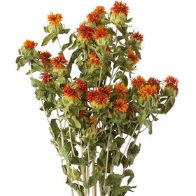 تصویر گل خشک گلرنگ 