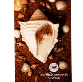 تصویر شمع گوش ماهی (صدف) Scallop candle