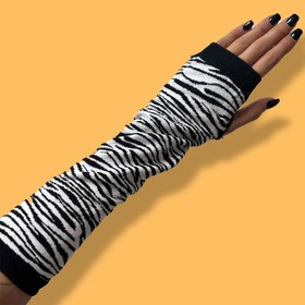 تصویر ساقدست گورخری 