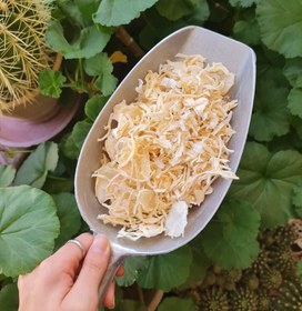 تصویر پیاز - گرانول 