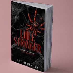 تصویر Little Stranger (The Web of Silence Duet Book 1) 