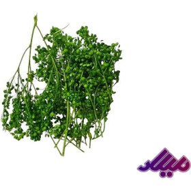 تصویر گل خشک درختی سبز G21 