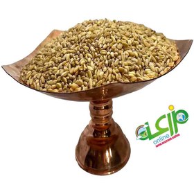 تصویر گندم مرغی 