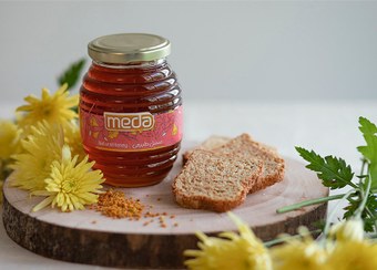 تصویر عسل خارشتر مدا در 3 وزن 250-500گرم و 1 کیلوئی(مفید برای افراد دیابتی) - (250 گرمی) Meda alhagi Honey