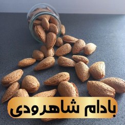 تصویر بادام شاهرودی 12 