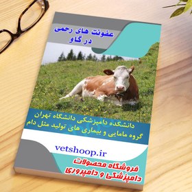 تصویر فایل آموزشی عفونت های رحمی گاو ( متریت ، اندومتریت و پیومتر) 