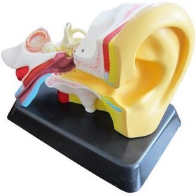 تصویر مولاژ گوش 