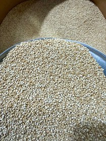 تصویر کینوا سفید دانه