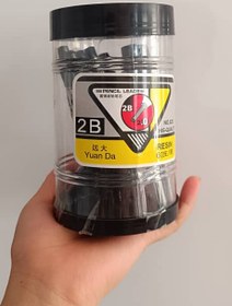 تصویر مغز اتود دومیل 