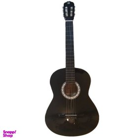 تصویر گیتار دیاموند مدل 2024 