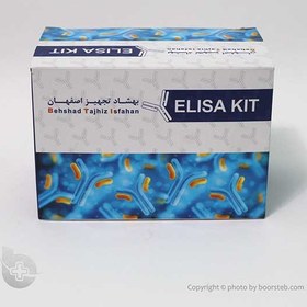 تصویر کیت ویتامین D برند BTi Vitamin D kit brand BTi