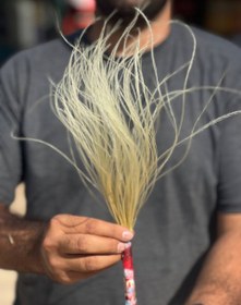 تصویر گل ریش بابا رنگ کرم 