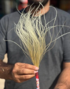 تصویر فروشگاه گلستونک