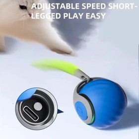 تصویر توپ هوشمند گربه - آبی Cat tug ball ( smart ball)