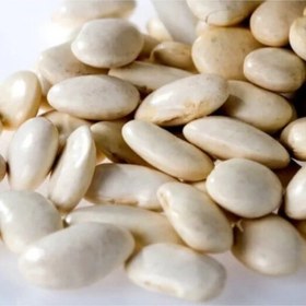 تصویر بذر لوبیا سفید 30 عددی 